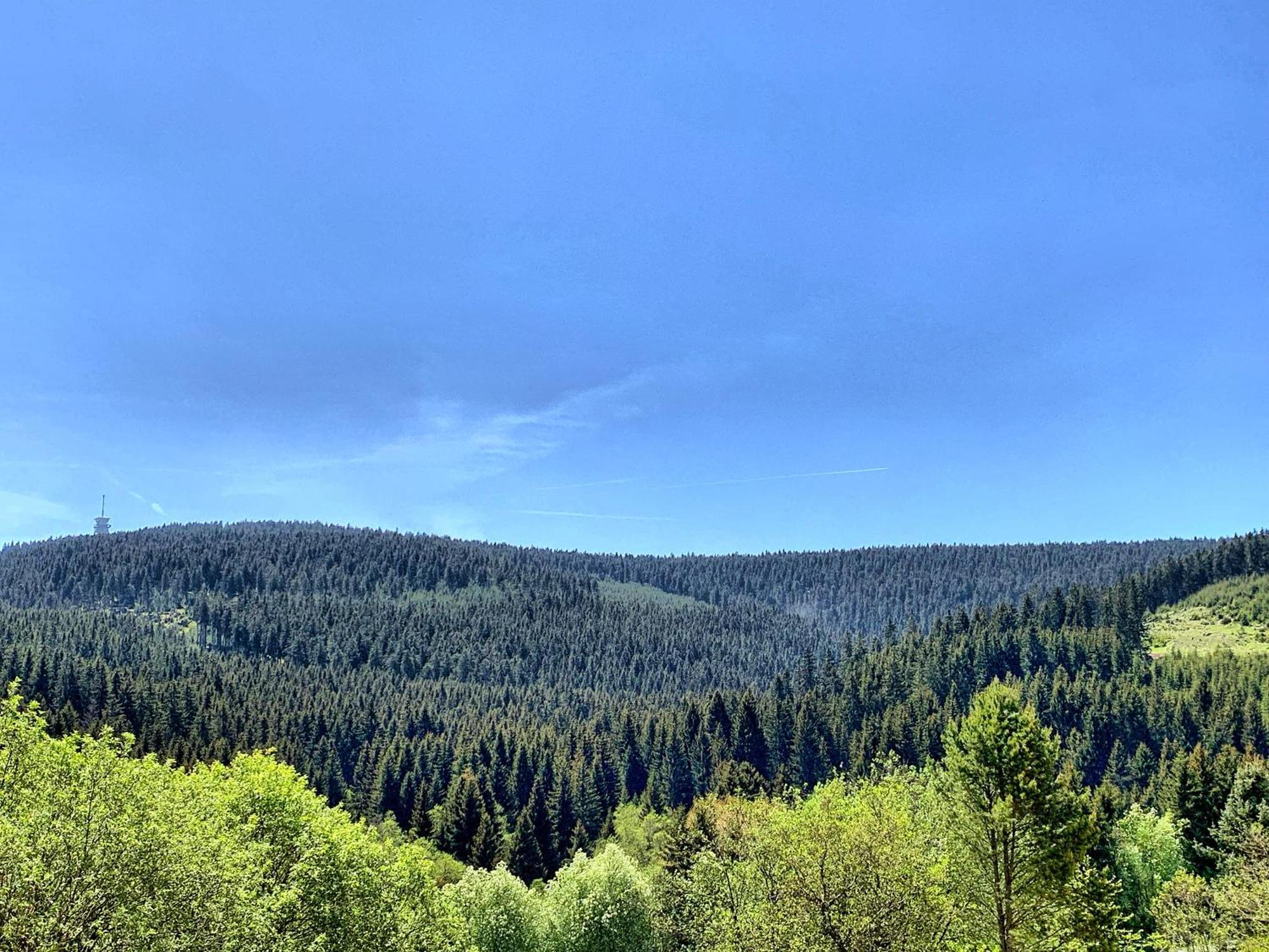 Erzgebirge Suite Bergruhe 오베르비젠탈 외부 사진