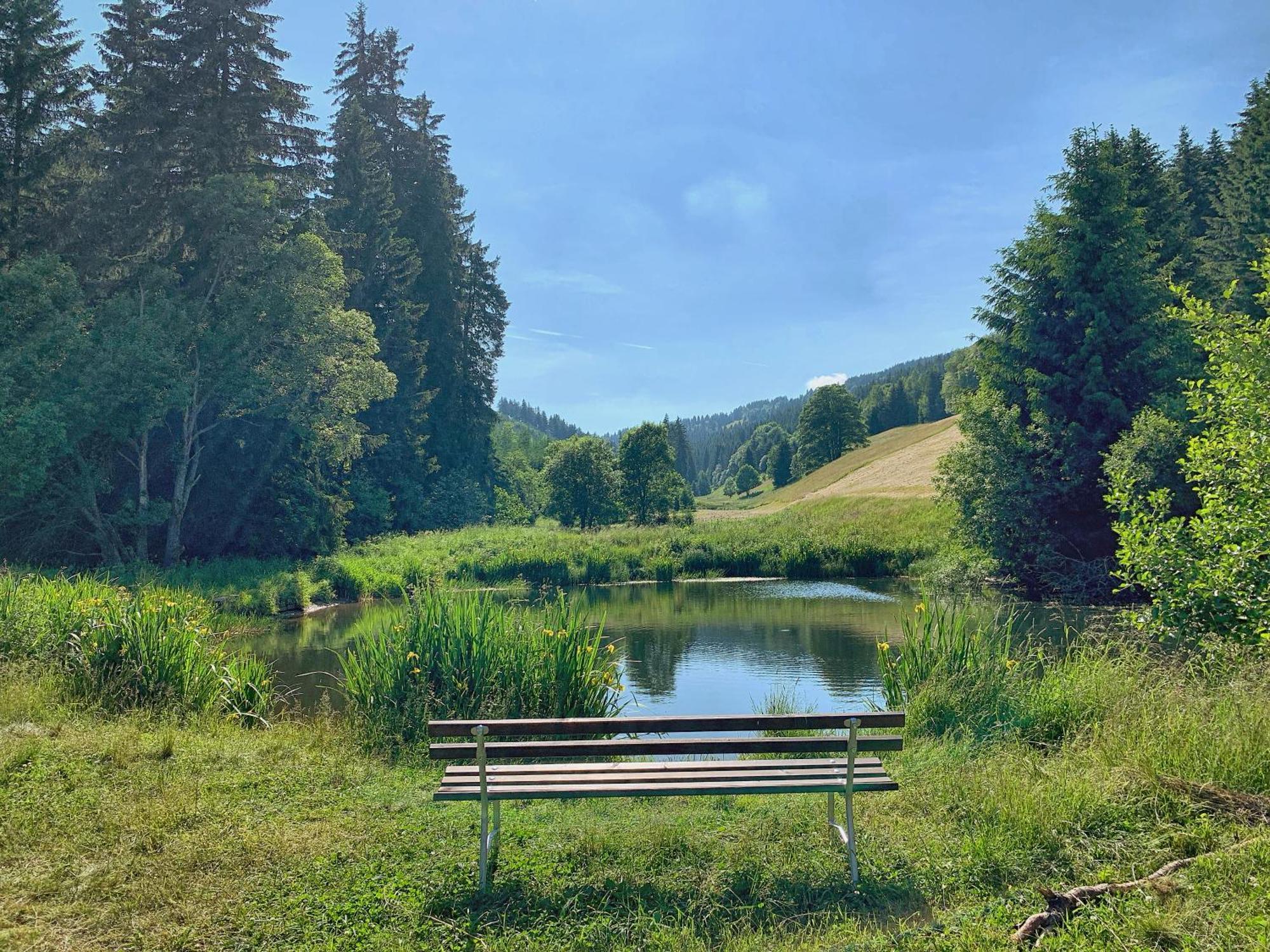 Erzgebirge Suite Bergruhe 오베르비젠탈 외부 사진
